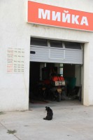 /album/fotogalerie/img-6941b-jpg/