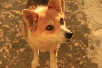 /album/fotogalerie/img-6954b-jpg/