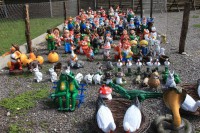 /album/fotogalerie/img-6996h-jpeg/